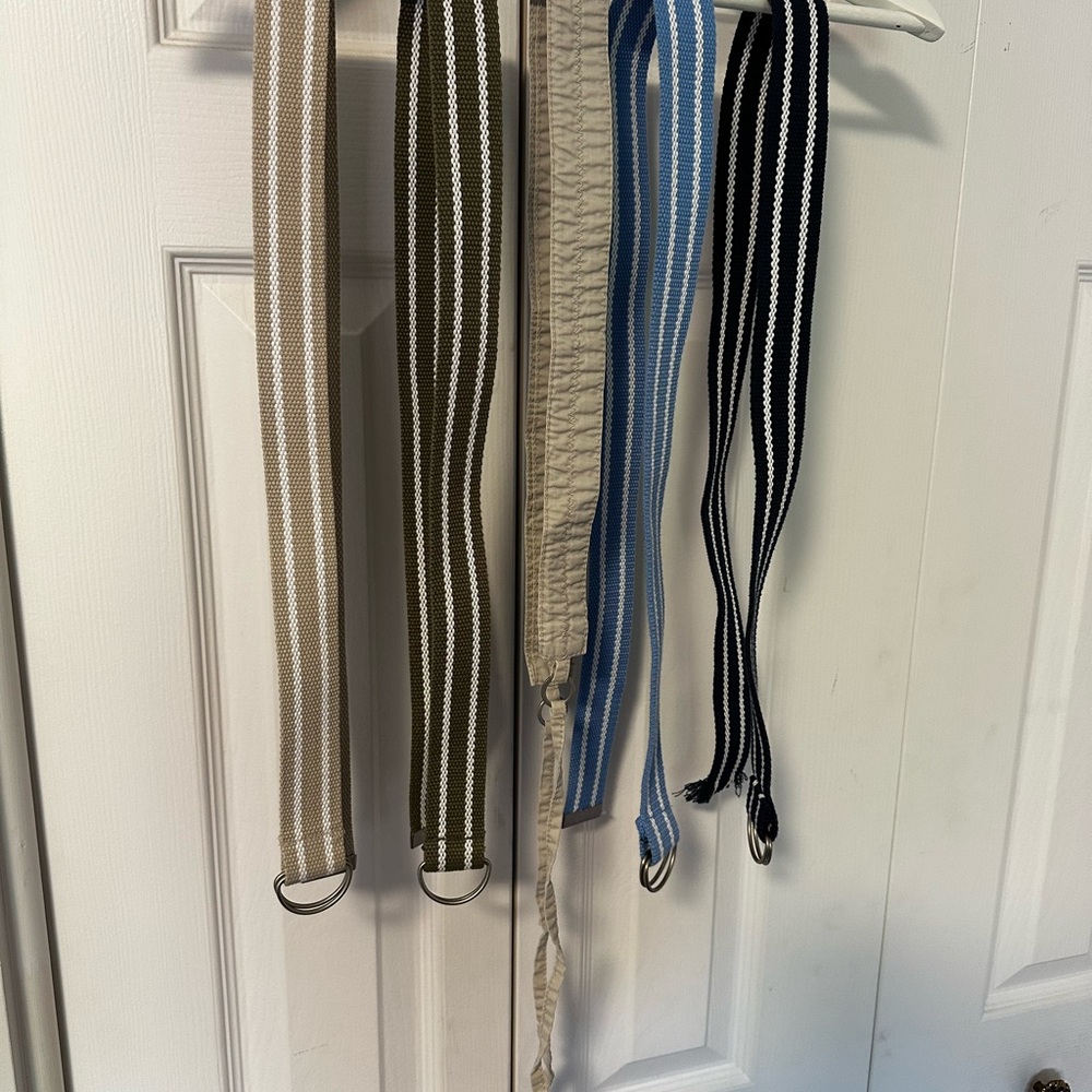 Vintage Webbed and Canvas Belts